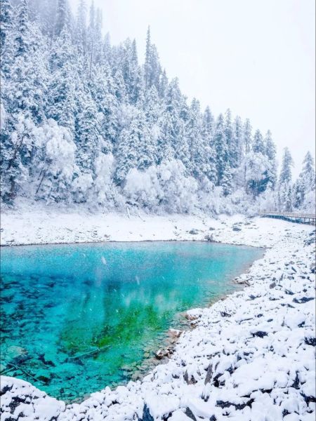 成都 九寨溝(坐動車還是自駕游)