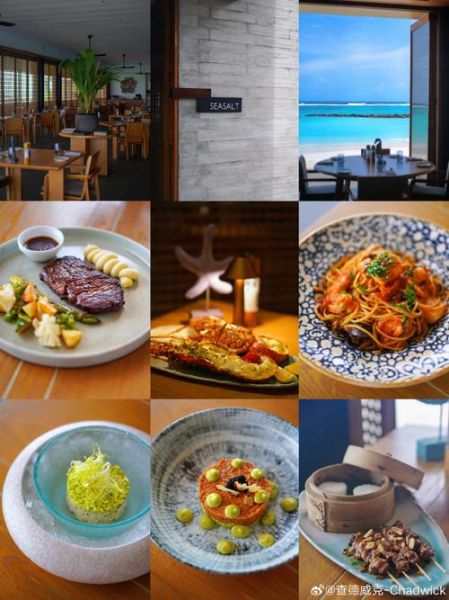 馬爾代夫 旅游(當?shù)孛朗澈途频瓴蛷d哪個更值得嘗試)