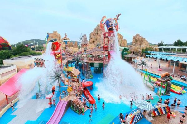 上?，斞潘蠘穲@(它們有什么獨(dú)特之處)