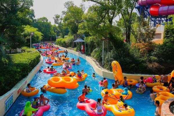 上?，斞潘蠘穲@(它們有什么獨(dú)特之處)