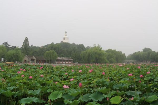 北海公園(還有哪些景點(diǎn)值得一看)