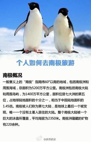 去南極旅游( 南極旅游有哪些注意事項)