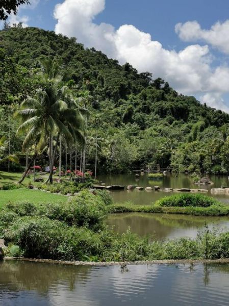 呀諾達熱帶雨林公園(半天就能玩遍呀諾達)
