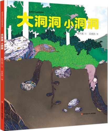 大小洞天(到底有什么故事可以講)