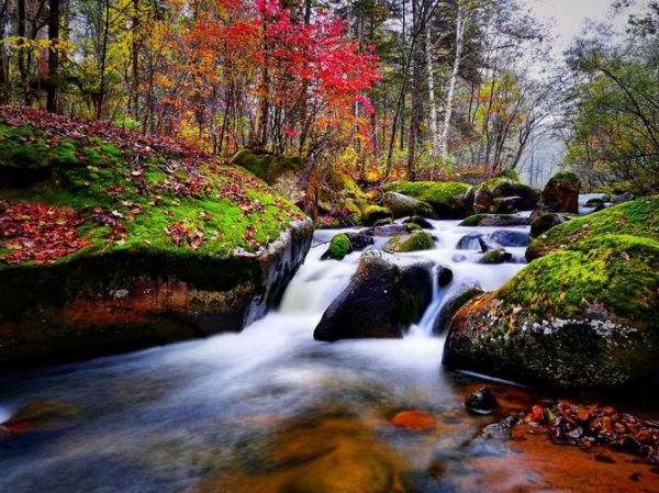 小興安嶺旅游( 去哪里才能看到最美的風景)