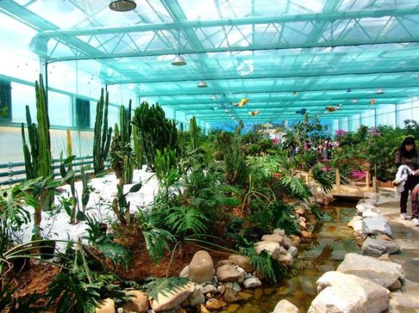 旅順蝴蝶園(你會(huì)選擇和誰一起去)