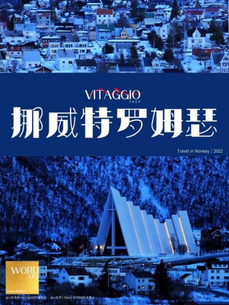 特羅姆瑟( 特羅姆瑟當(dāng)?shù)赜惺裁粗档觅徺I的紀念品)