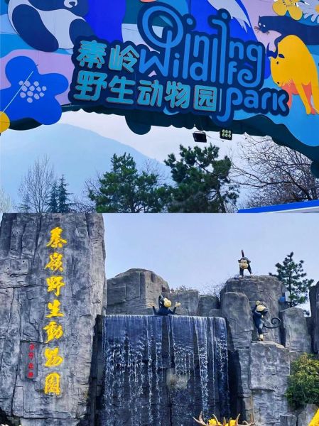 西安秦嶺野生動(dòng)物園官網(wǎng)(怎么才能買票)