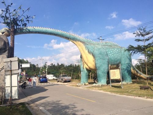 金光湖(那里適合帶孩子去玩嗎)