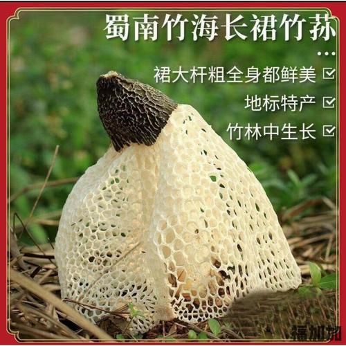 長寧蜀南竹海(哪些特產(chǎn)值得買回家)