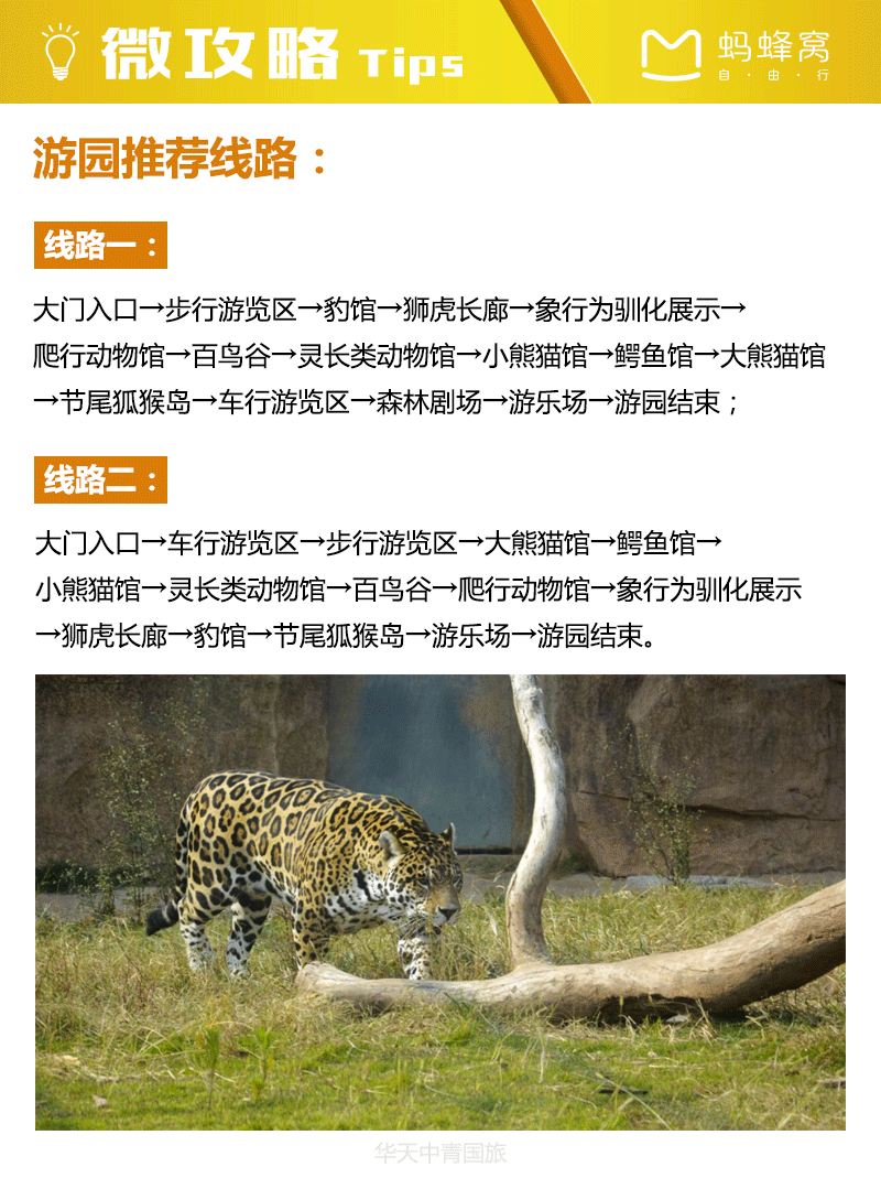 長沙新動物園(哪些項目最適合你呢)