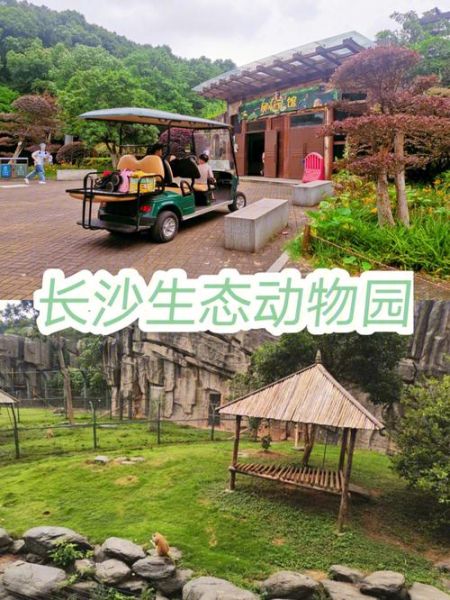長沙新動物園(哪些項目最適合你呢)