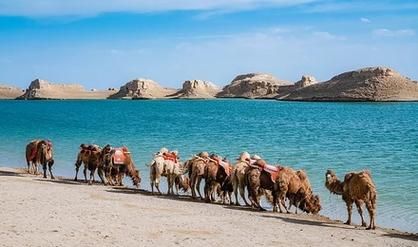 青海旅行(還是選擇舒適的跟團游)