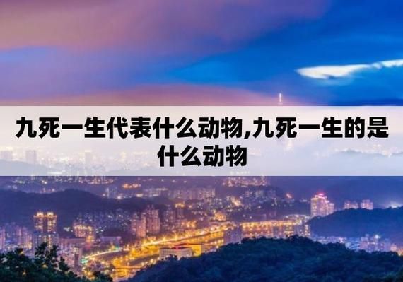 九死一生是什么生肖 (和十二生肖有什么關(guān)系)