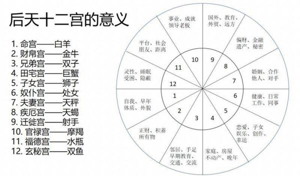命宮星座分析(你的事業(yè)會成功嗎)