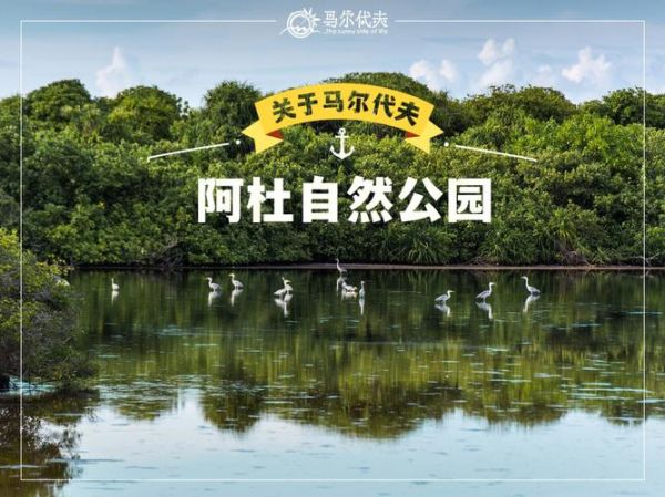 塔洛希塔島小說(是浪漫邂逅還是危險游戲)