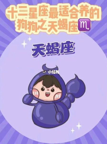 天蝎座和什么星座最配星座狗(聽說跟狗狗也挺搭)