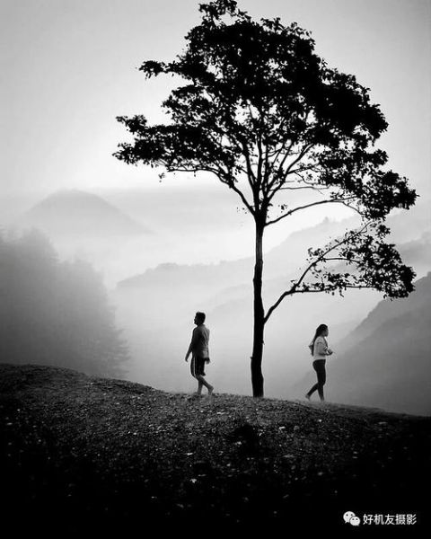 精彩對(duì)白(會(huì)是黑白照片嗎)