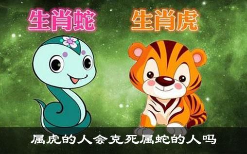 屬馬人2022年虎年運勢(他們會遇到什么機遇和挑戰(zhàn))