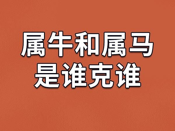 屬馬和屬牛(誰(shuí)更適合做鄰居)