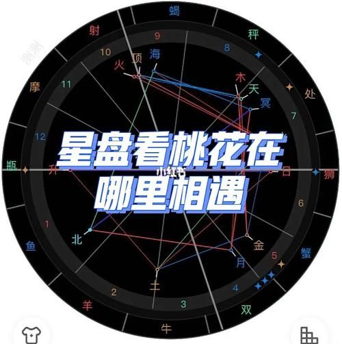 星座命盤看桃花運(yùn)(命盤里藏著你的愛情秘密)