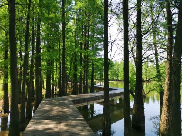 蘭湖旅游度假區(qū)(真的有那么好耍嗎)