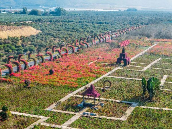 海南花梨谷旅游度假景區(qū)(有什么適合小朋友玩的)