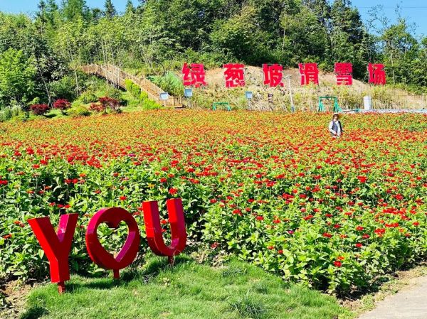 綠蔥坡旅游度假區(qū)(還能享受到哪些樂(lè)趣)