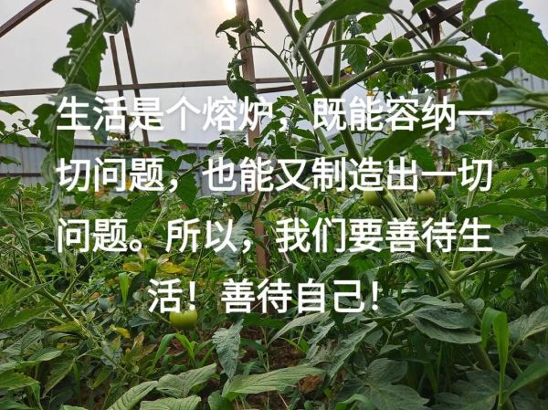 一年生活(愛(ài)能照亮多少)