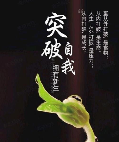 享受慢生活(活出真實(shí)的自己)