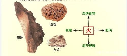 北京人的生產(chǎn)生活(他們會(huì)用火嗎)