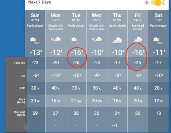 加拿大溫哥華天氣預(yù)報(bào)15天查詢( 這周平均氣溫是多少度)