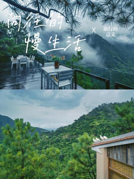 向往的生活免費(fèi)(帶你體驗(yàn)慢生活的美好)