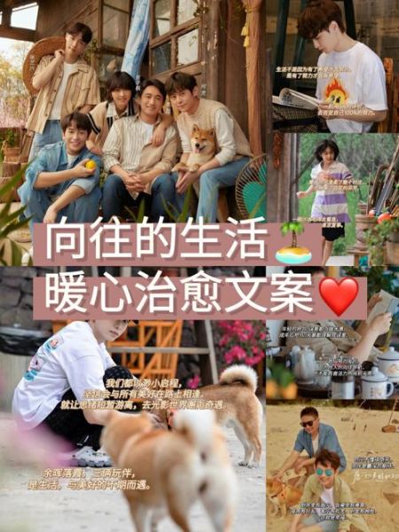 向往的生活出品人( 他是如何打造這個慢生活的)