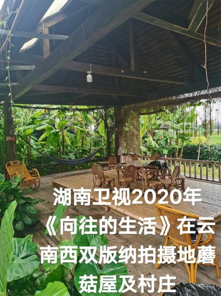 向往的生活在哪兒拍的(每一季的蘑菇屋都搬到不同的地點了嗎)