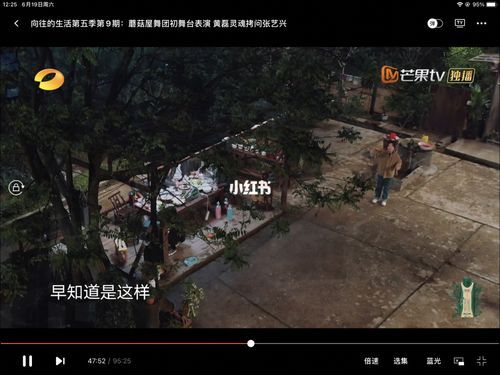 向往的生活影評(真的能讓人放松嗎)