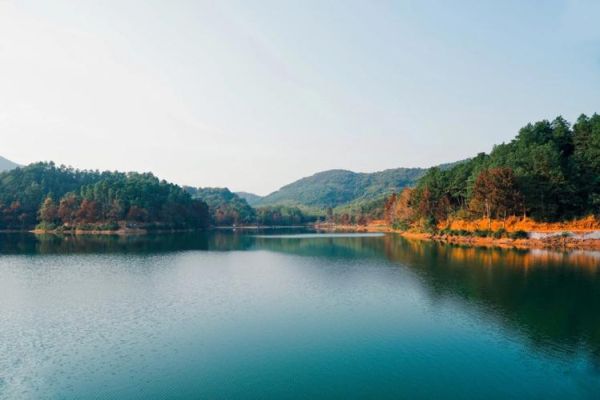 向往的生活拍攝地址(杭州長樂林場美不美)