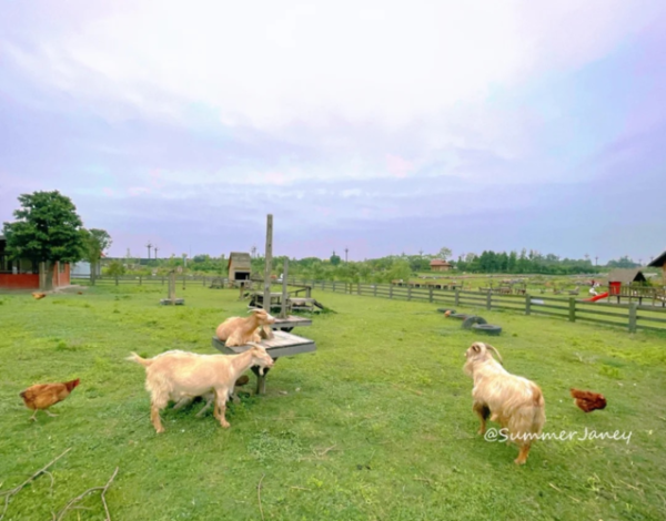 向往的生活拍攝地方(還是想去體驗一下牧場生活)