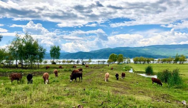 向往的生活拍攝地方(還是想去體驗一下牧場生活)