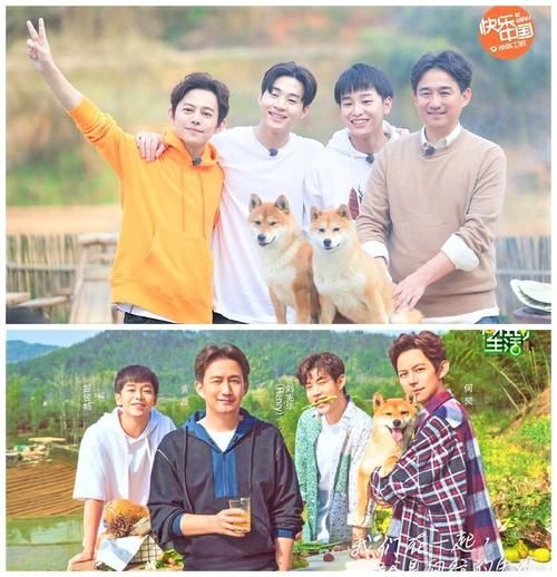 向往的生活演員表(他們都是什么類型的明星)