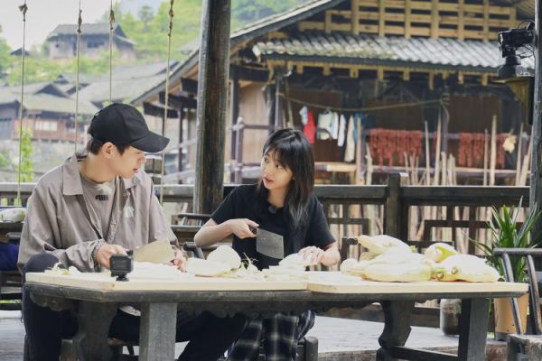 向往的生活直播(能吸引更多人去旅游嗎)