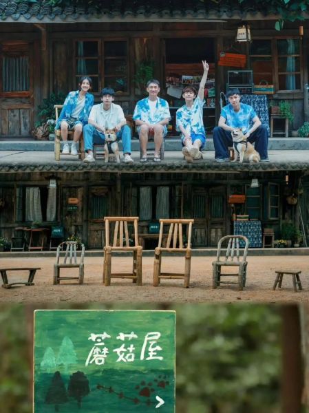 向往的生活第三季第一期(蘑菇屋會發(fā)生哪些故事)