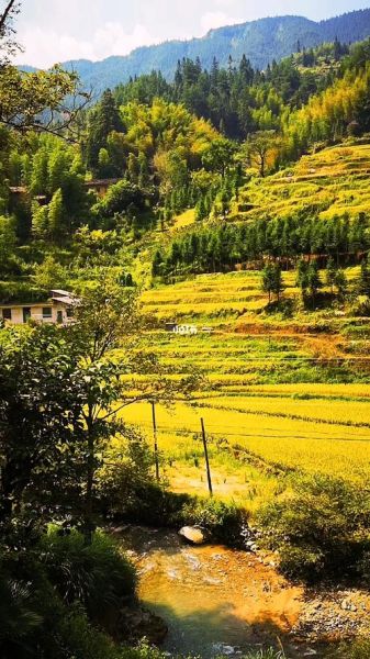 悠然田園生活(  怎樣才能在田園生活中收獲幸福)