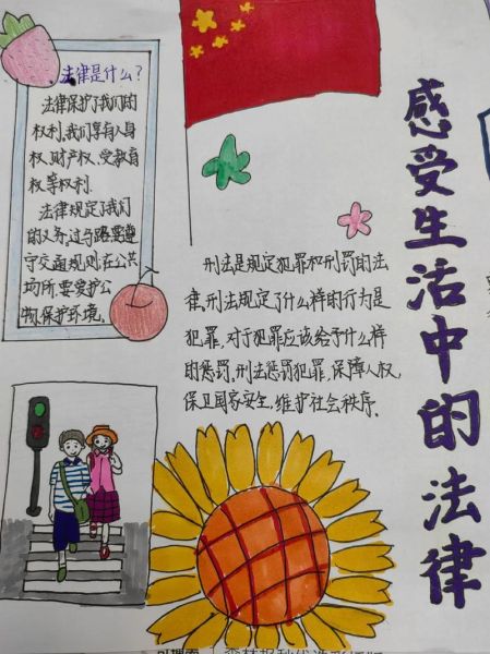 感受生活中的法律(我們應(yīng)該怎么做)