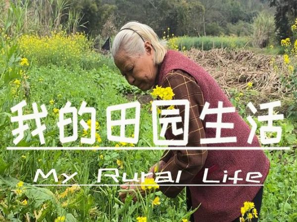 我的田園生活(它會(huì)是想象中的美好嗎)