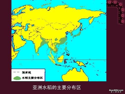 生活中的地理現(xiàn)象( 為什么有些地方更適合種水稻)