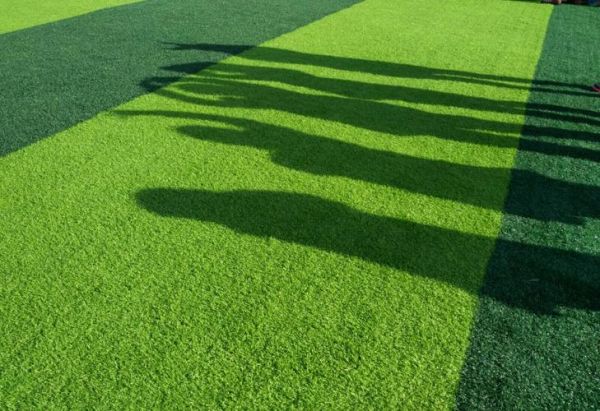 生活在陽(yáng)光下(孩子們真的可以回到陽(yáng)光下嗎)