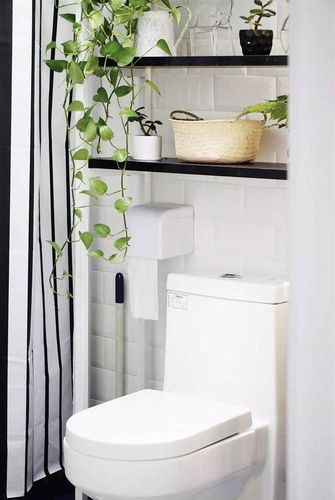 綠蘿生活環(huán)境( 衛(wèi)生間是不是最合適的地方)