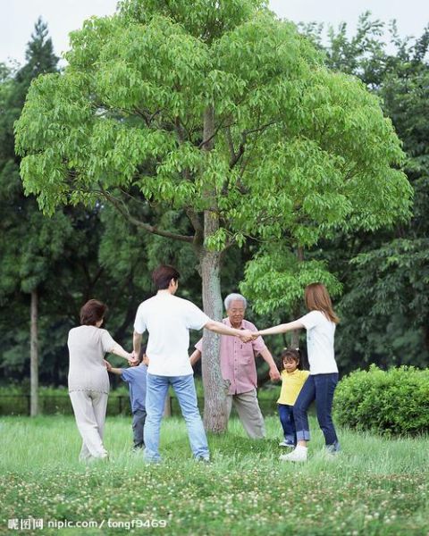 老年人的晚年生活( 是該安享清閑還是繼續(xù)奮斗)