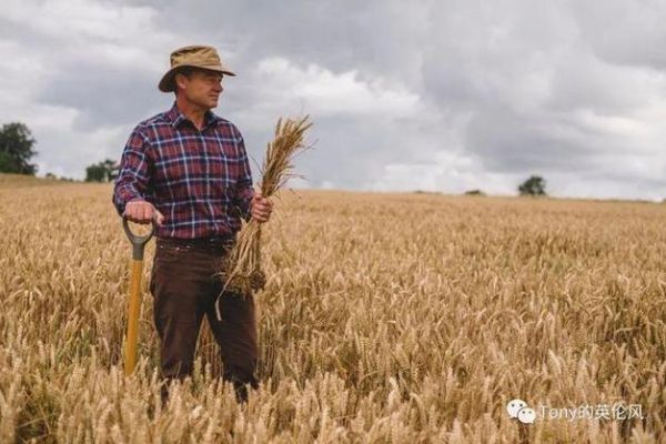 英國農(nóng)村真實(shí)生活( 農(nóng)民們?nèi)绾螒?yīng)對現(xiàn)代農(nóng)業(yè)的挑戰(zhàn))